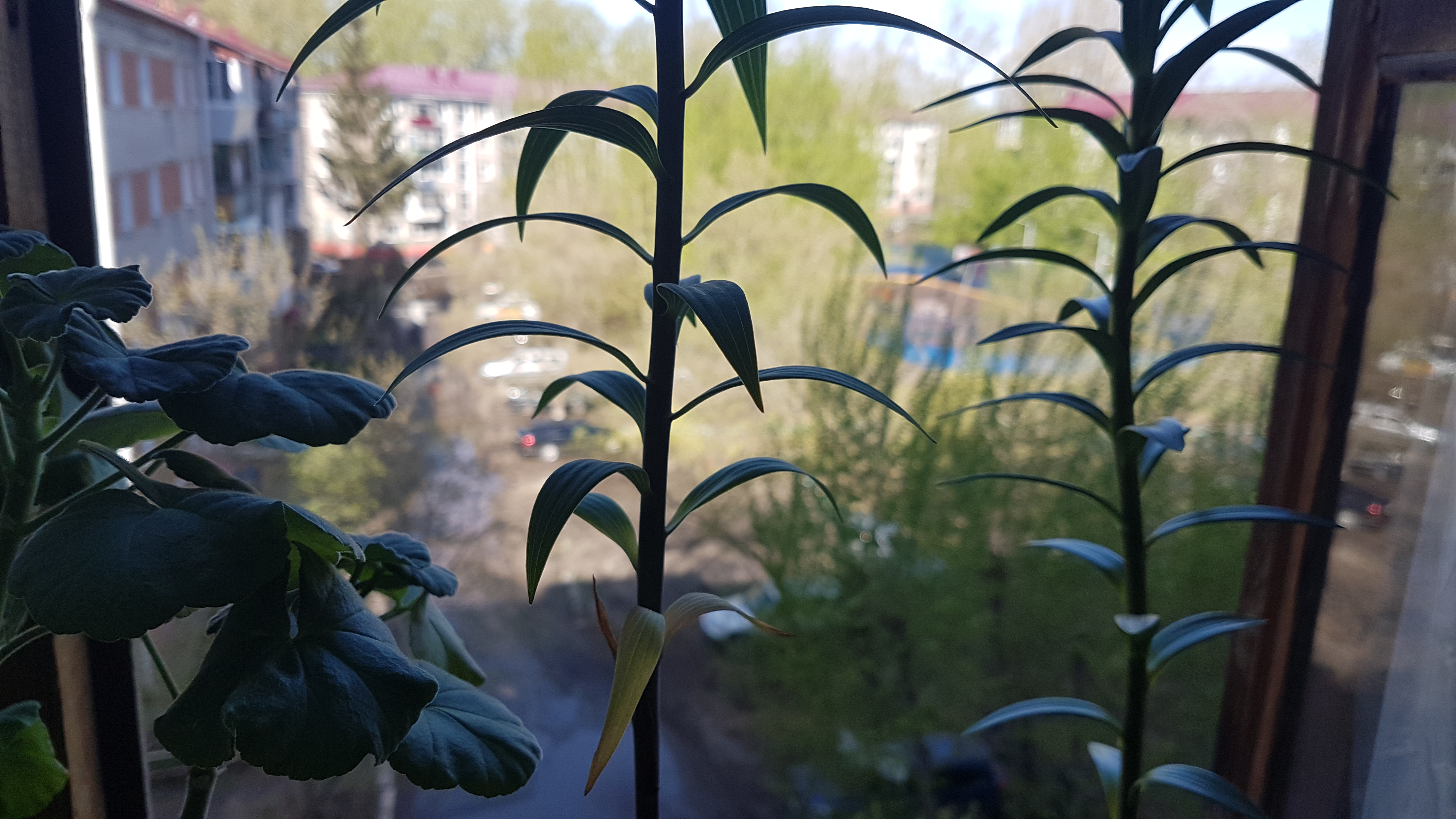 20250429_101818.jpg