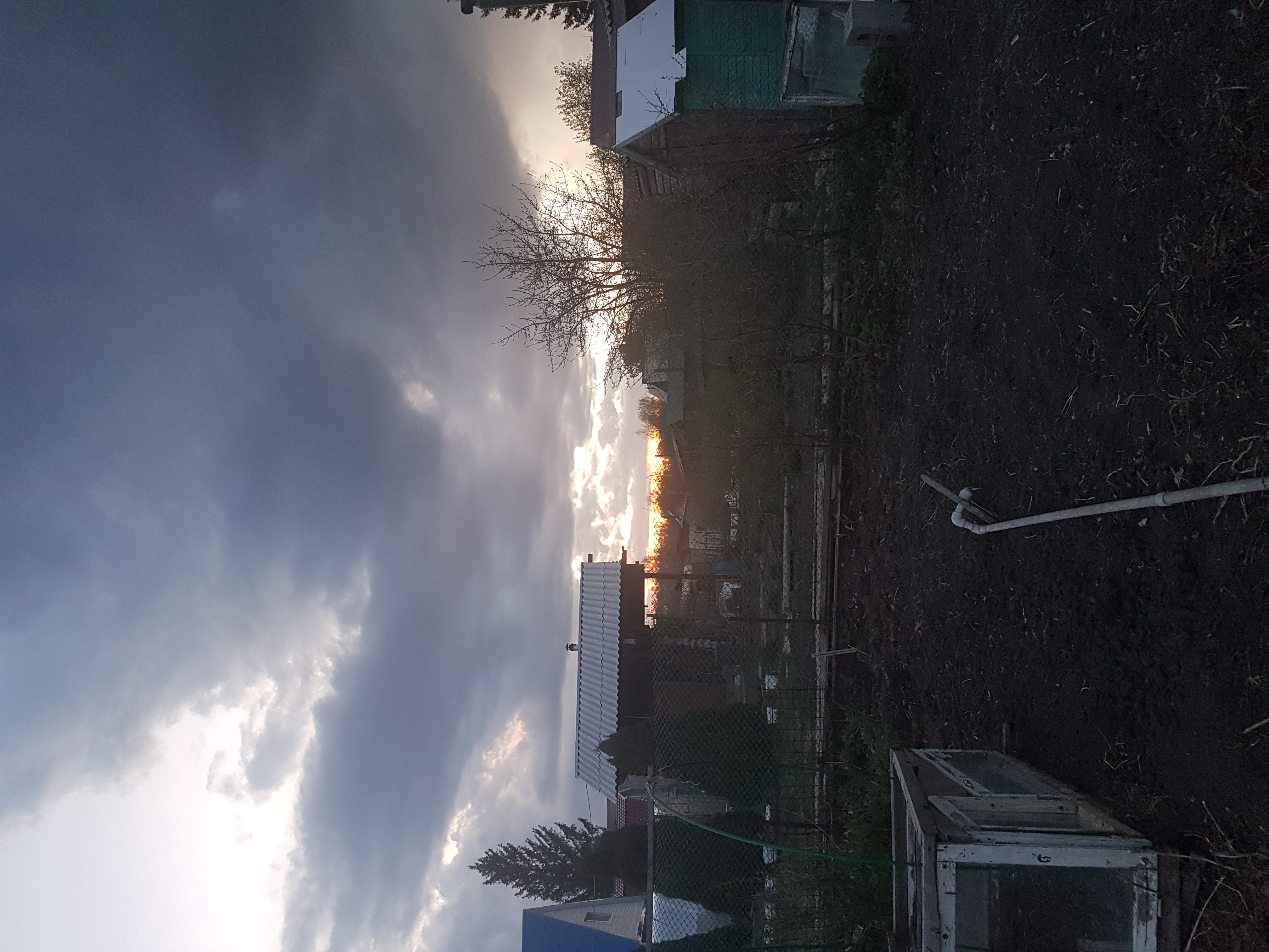 20250427_204813.jpg